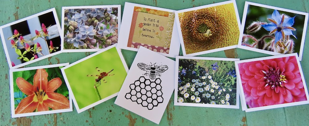 Greeting Cards, 10 Vermont greeting cards in each set - Flowers & Gardens by Sweet Basil Cards