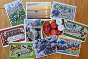 Postcards by Sweet Basil Cards