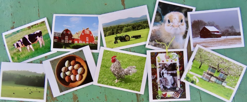 Greeting Cards, 10 Vermont greeting cards in each set - Farms & Farming by Sweet Basil Cards
