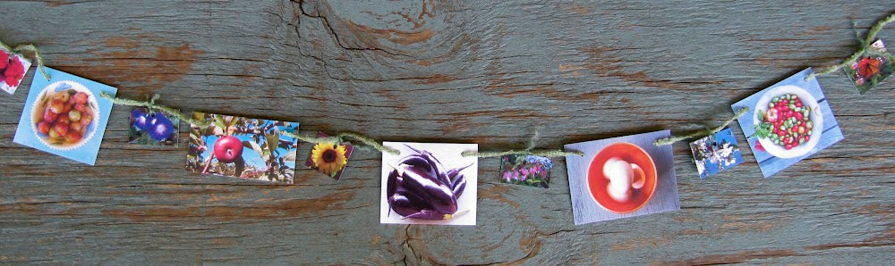 Mini Garlands, 2" x 3" - Food & Flowers by Sweet Basil Cards