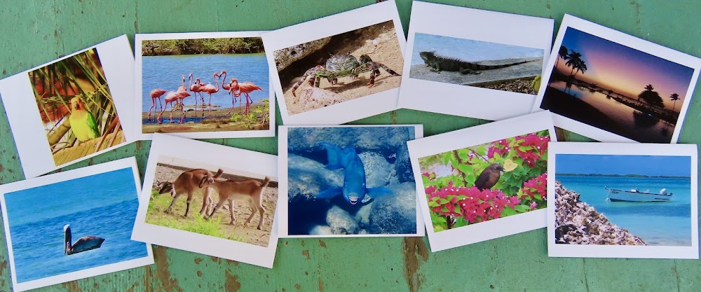 Greeting Cards, 10 Vermont greeting cards in each set - Bonaire by Sweet Basil Cards