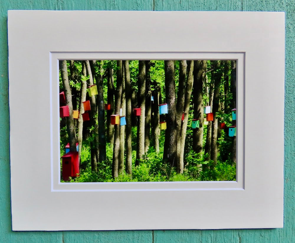 Matted Photos - Birdhouses by Sweet Basil Cards