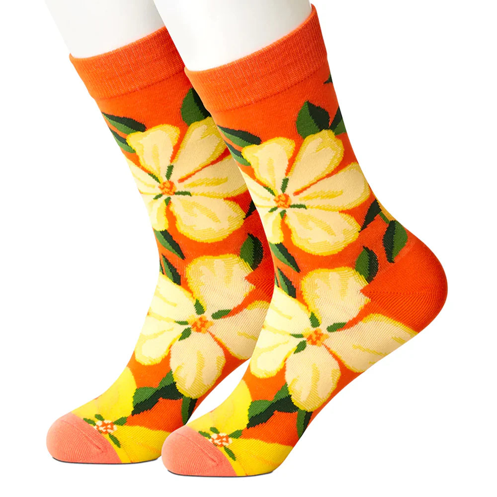 Biscayne Women's Socks by Beau Ties of Vermont