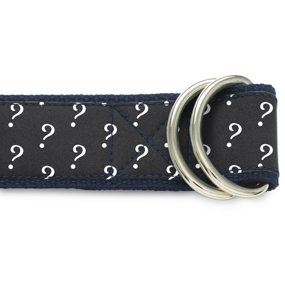 Mystery D-Ring Belt by Beau Ties of Vermont