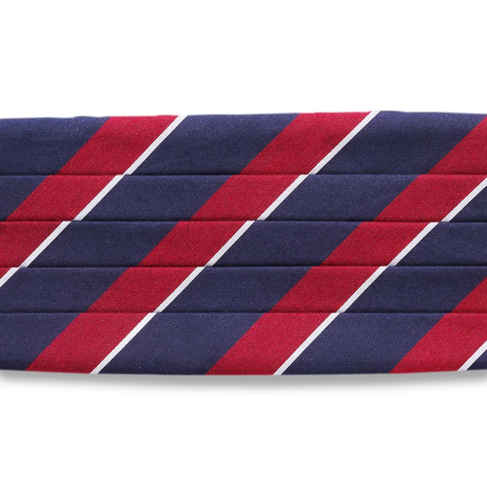 Austin - Cummerbunds by Beau Ties of Vermont