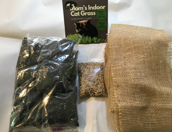 Moms Indoor Cat Grass 10x10 Refill by Pet Food Warehouse