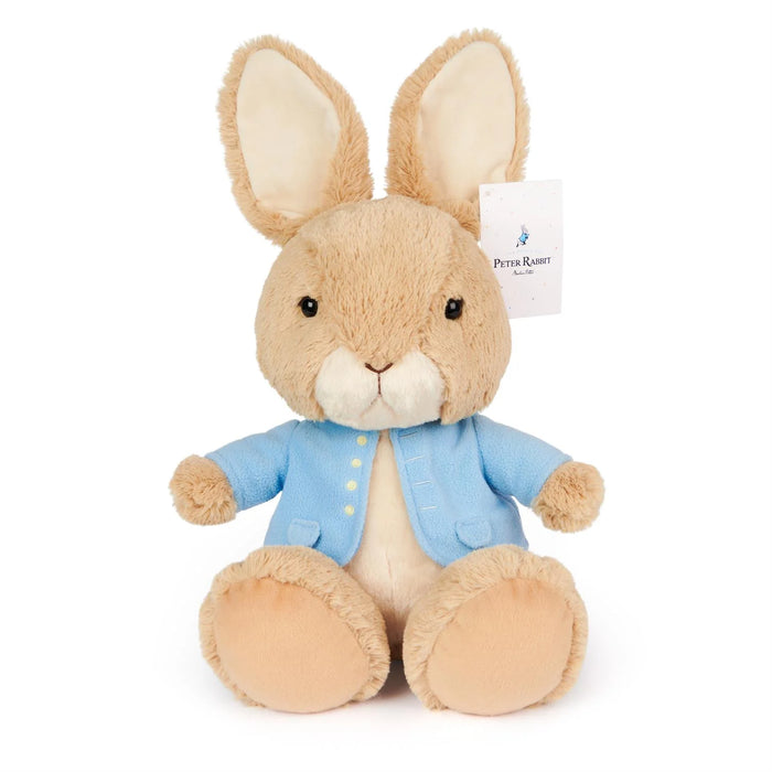 Beatrix Potter Peter Rabbit Silly Pawz 11"