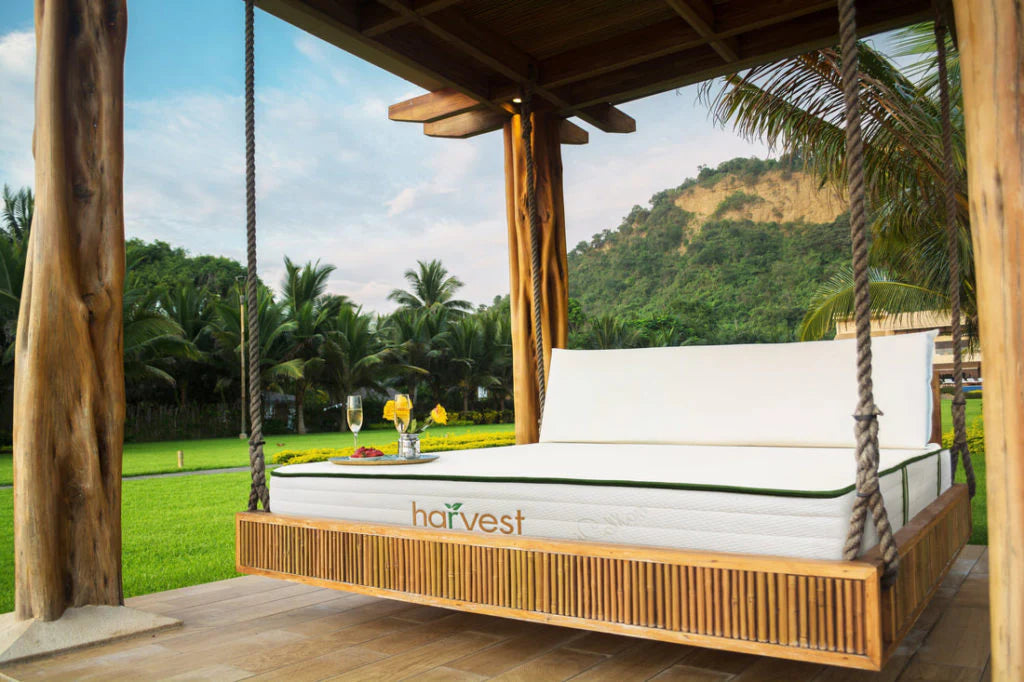 Harvest Green Original Mattress by Natural Mattress Company