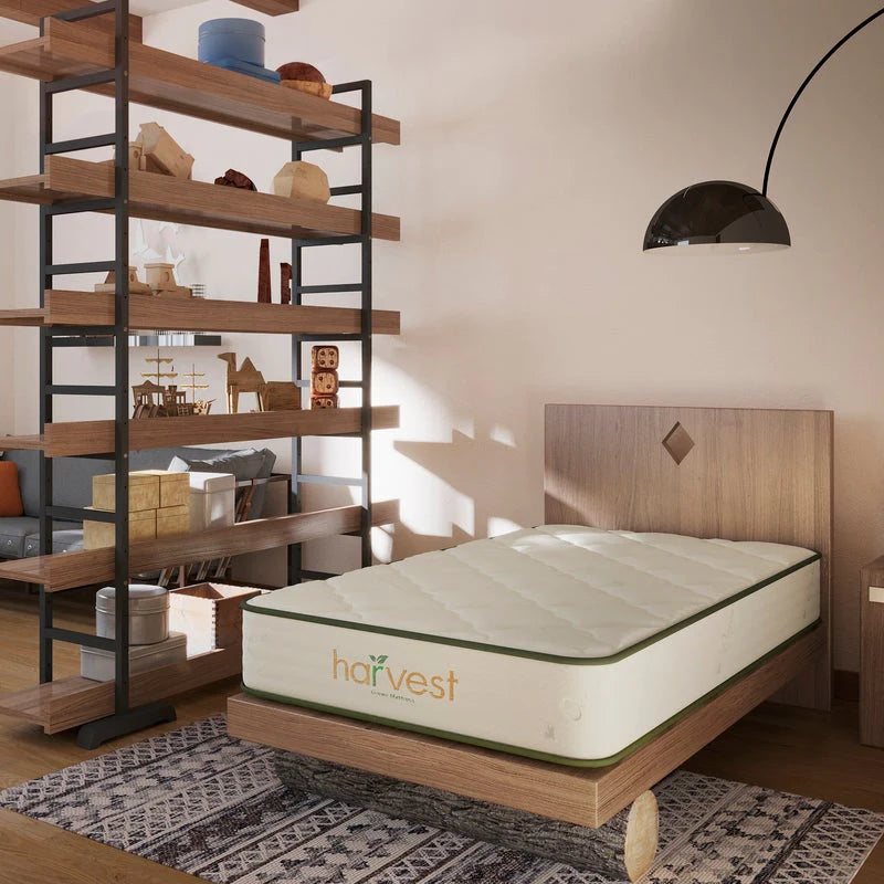 Harvest Green Essentials Mattress by Natural Mattress Company