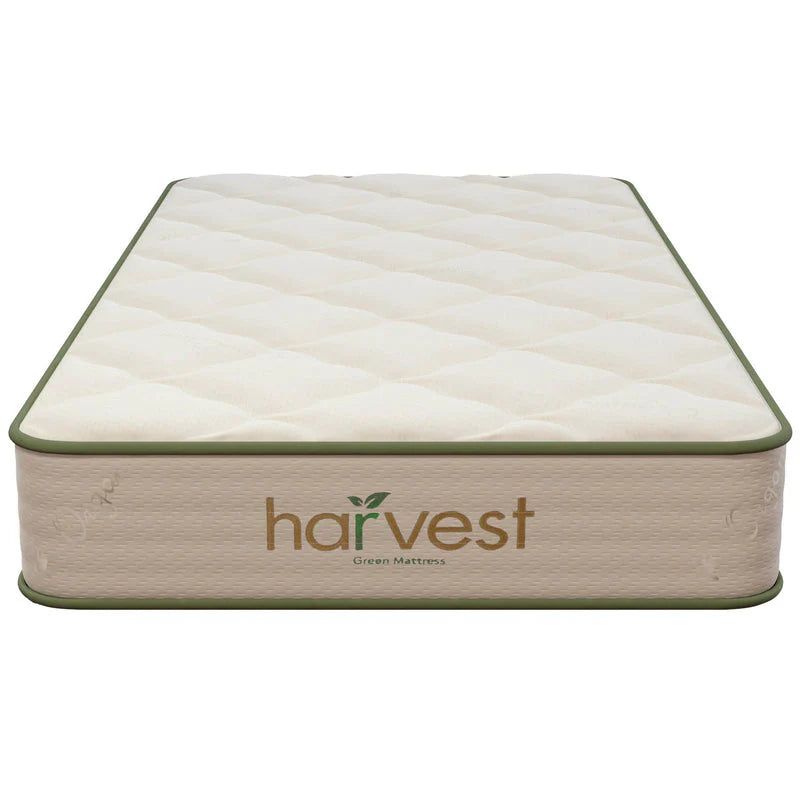Harvest Green Essentials Mattress by Natural Mattress Company