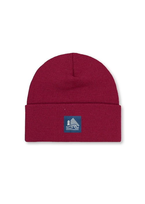 4T2D Cuffed Ribbed Beanie