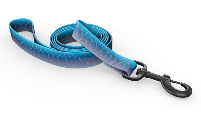 Wingo Bowie Dog Leash Tarpon by Pet Food Warehouse