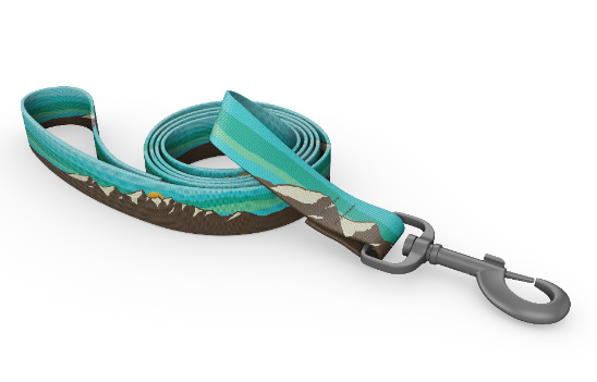 Wingo Bowie Dog Leash Grand Teton by Pet Food Warehouse