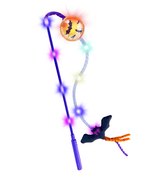 Halloween Teaser Light-Up Bat by Pet Food Warehouse