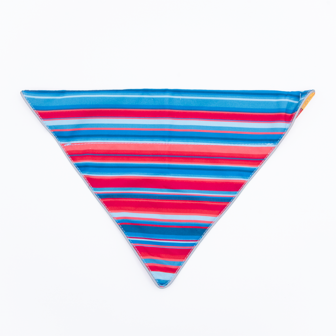Wingo Bernie Dog Bandana Baja Bars by Pet Food Warehouse