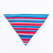 Wingo Bernie Dog Bandana Baja Bars by Pet Food Warehouse