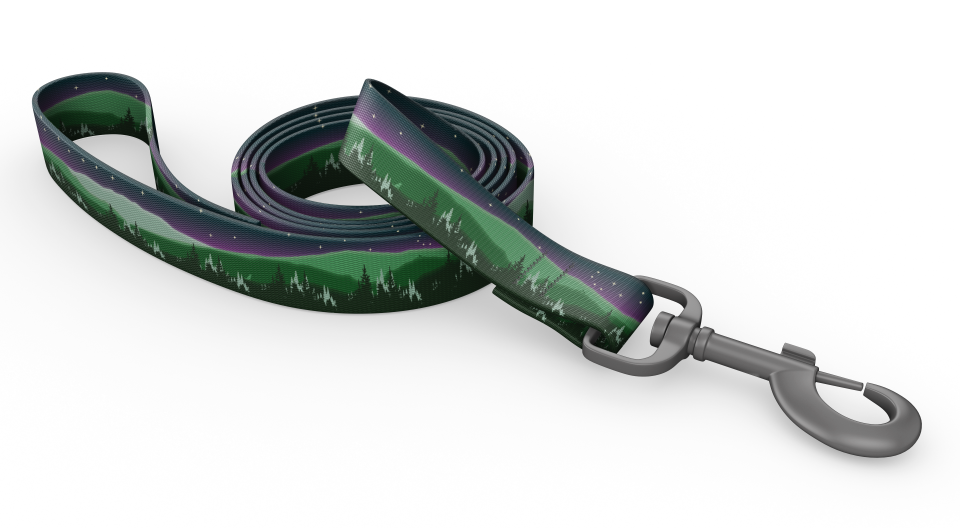 Wingo Bowie Dog Leash Constellations by Pet Food Warehouse