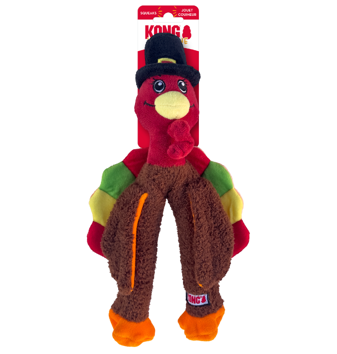 Kong Wishbone Turkey Medium by Pet Food Warehouse