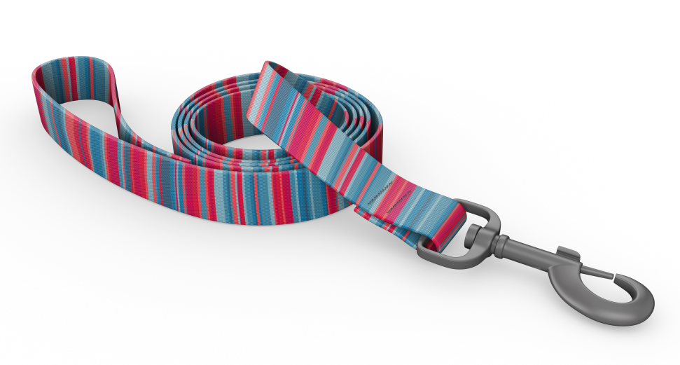 Wingo Bowie Dog Leash Baja Bars by Pet Food Warehouse