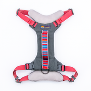 Wingo Monty Dog Harness Baja Bars Small by Pet Food Warehouse