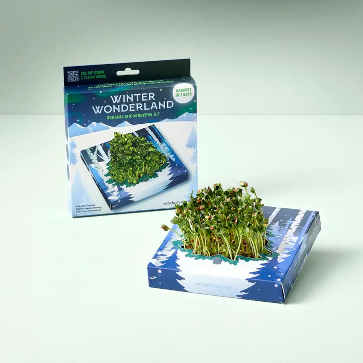 Winter Wonderland Microgreens Kit by Wild Lark