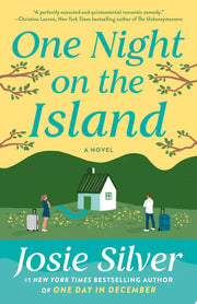 One Night on the Island A Novel