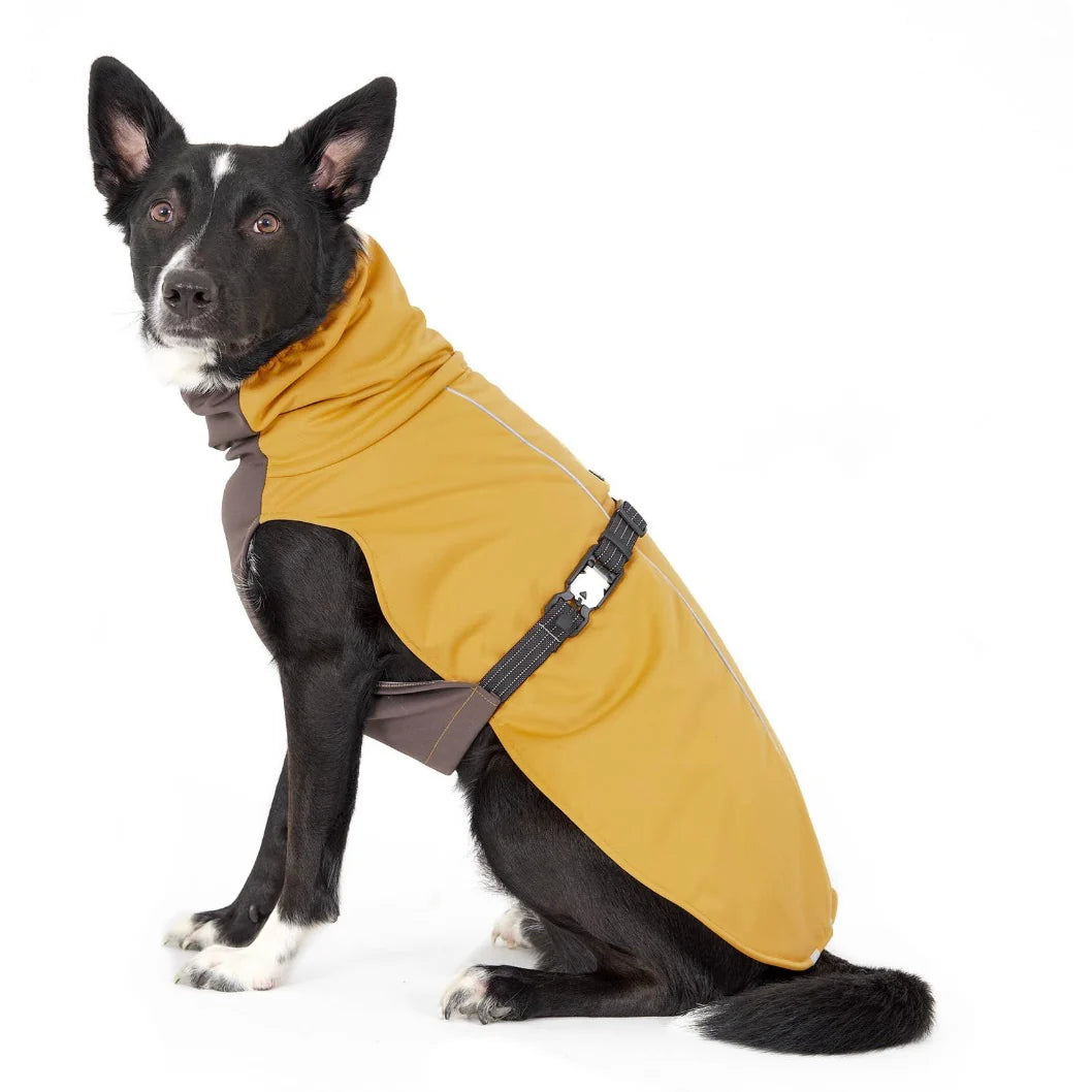 Gold Paw Winter Paw by Houndstooth