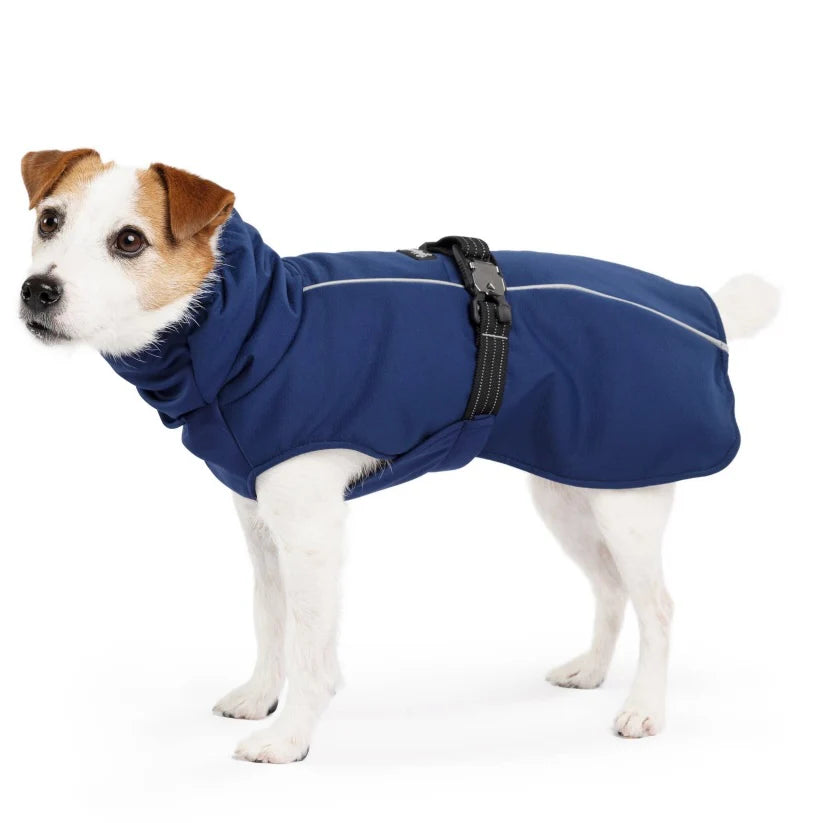 Gold Paw Winter Paw by Houndstooth