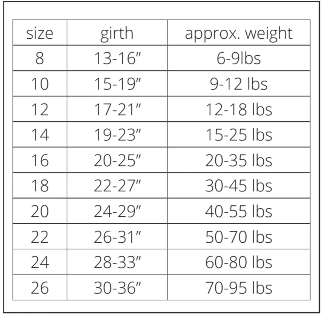 Gold Paw Winter Paw by Houndstooth