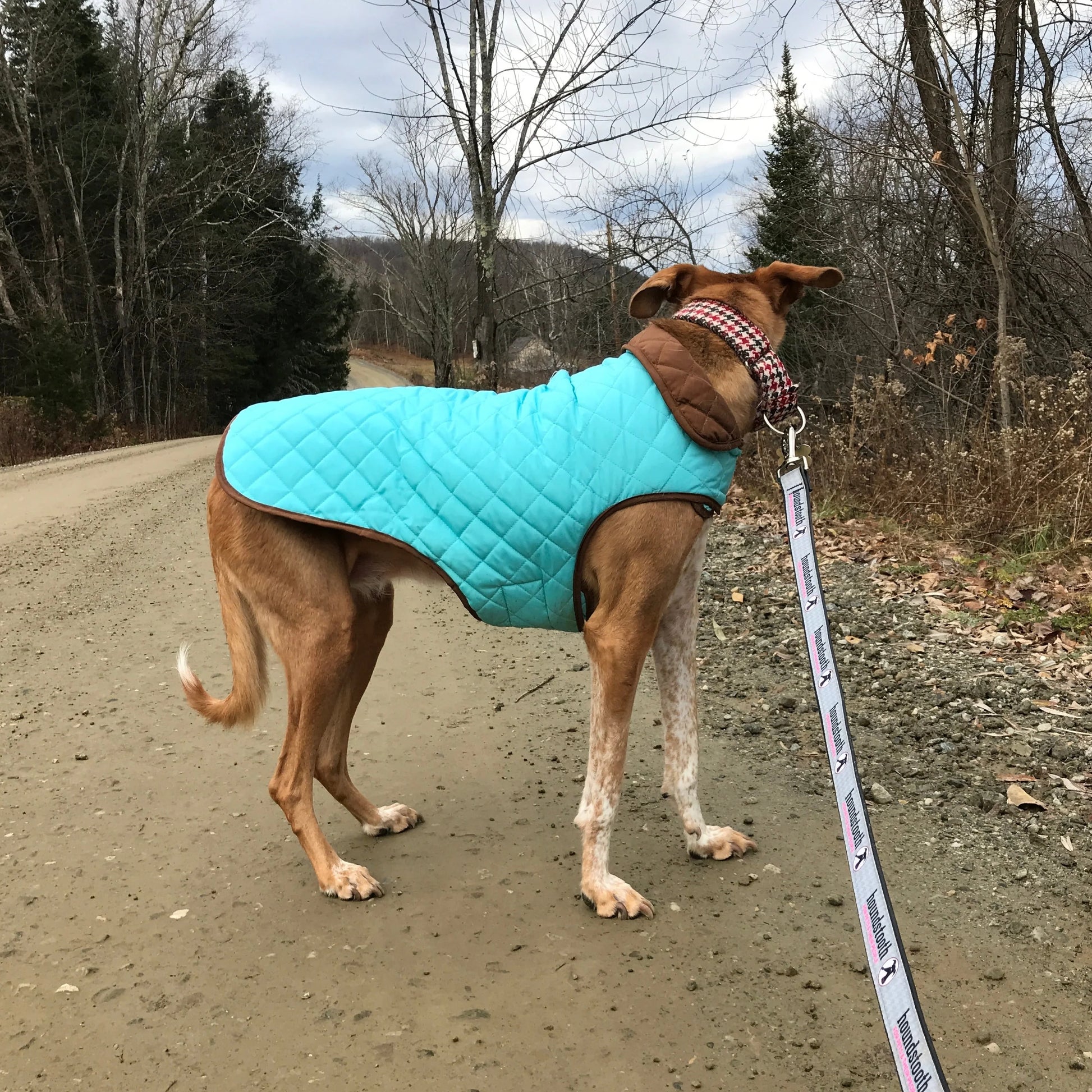 Up Country Aqua/Brown Diamond Quilted Coat by Houndstooth