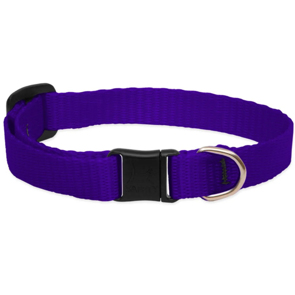 Lupine Cat Collar (no bell) by Houndstooth