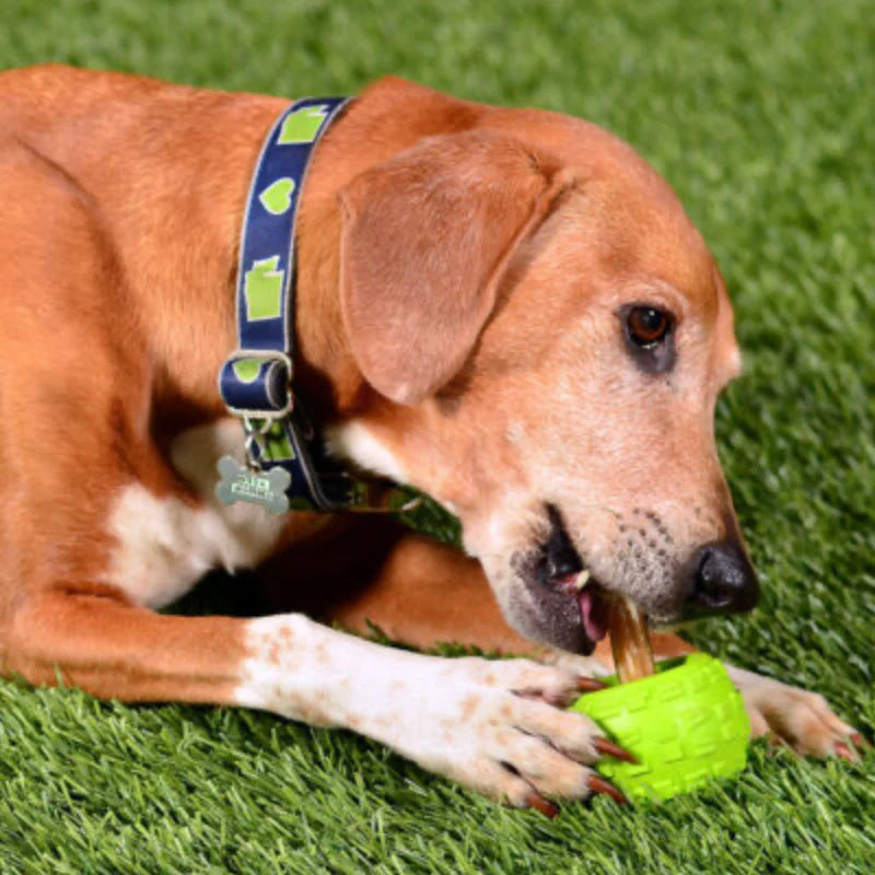 Cycle Dog High Roller Treat Ball by Houndstooth