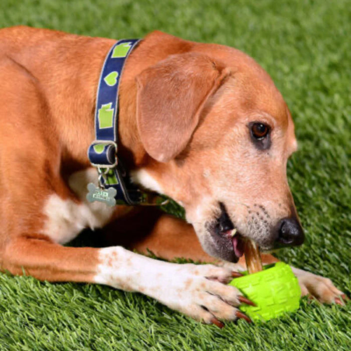 Cycle Dog High Roller Treat Ball