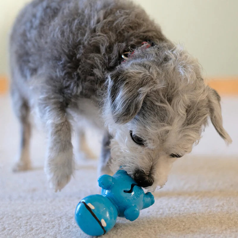 Cycle Dog Ecolast 3 Play Hippo by Houndstooth