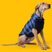 Long Dog Clothing Blue Ox Hoodie by Houndstooth