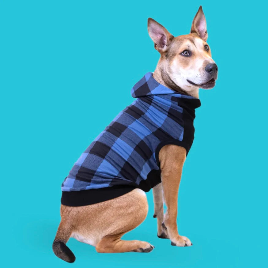 Long Dog Clothing Blue Ox Hoodie by Houndstooth