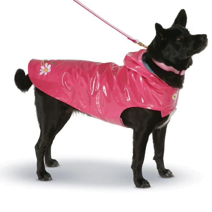 Up Country Daisy Nantucket Slicker