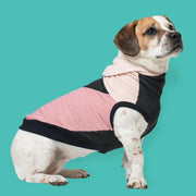 Long Dog Clothing Boombayah Hoodie by Houndstooth