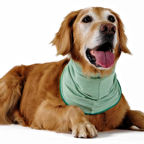 GoldPaw Snood - Sun Shield version by Houndstooth