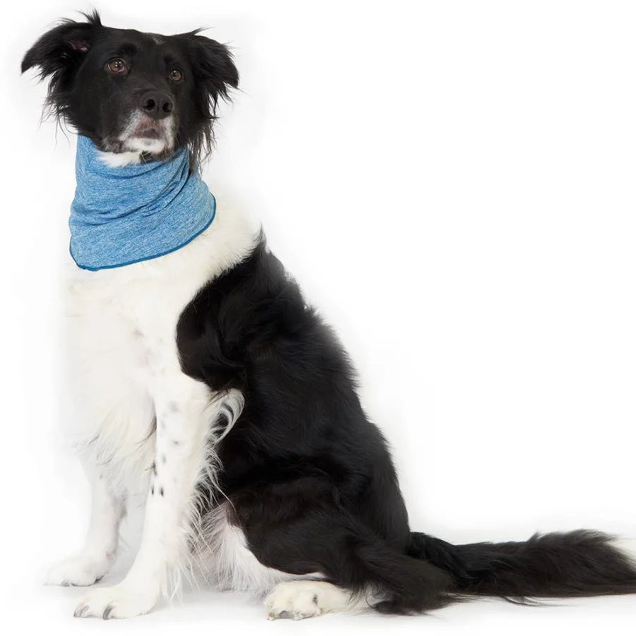 GoldPaw Snood - Sun Shield version by Houndstooth