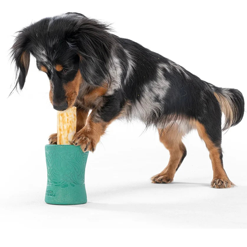 West Paw Funnl by Houndstooth