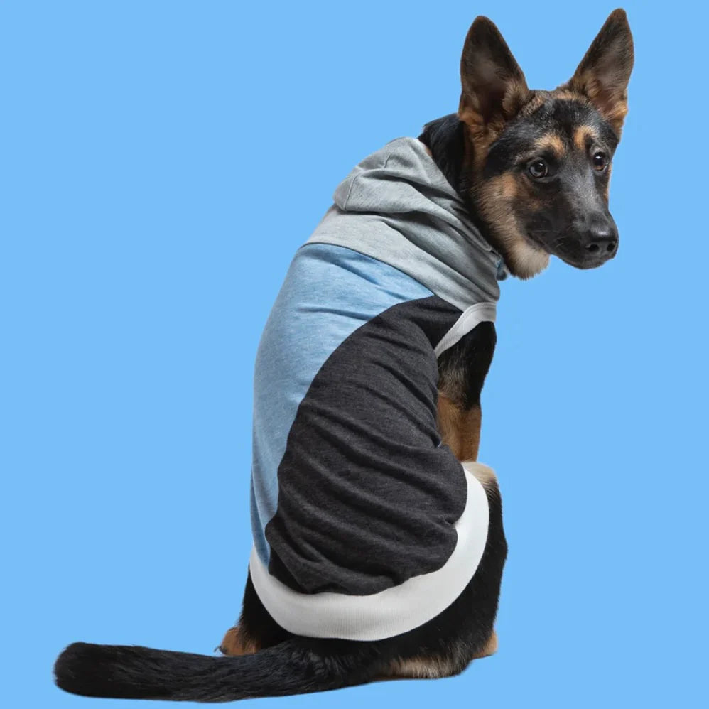 Long Dog Clothing Skater Hoodie by Houndstooth