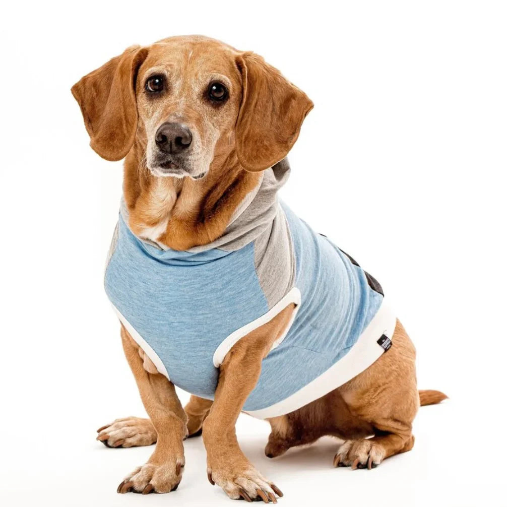 Long Dog Clothing Skater Hoodie by Houndstooth