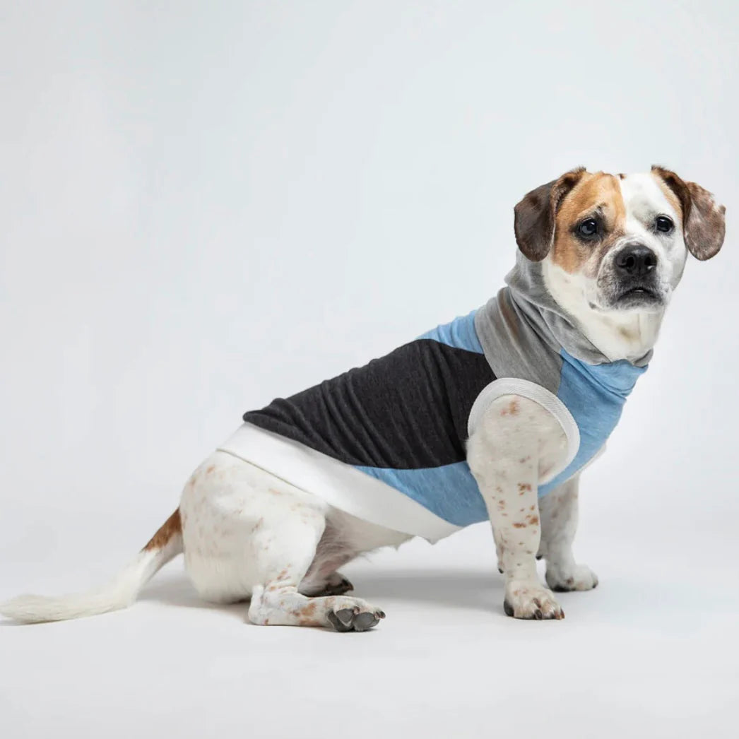 Long Dog Clothing Skater Hoodie by Houndstooth