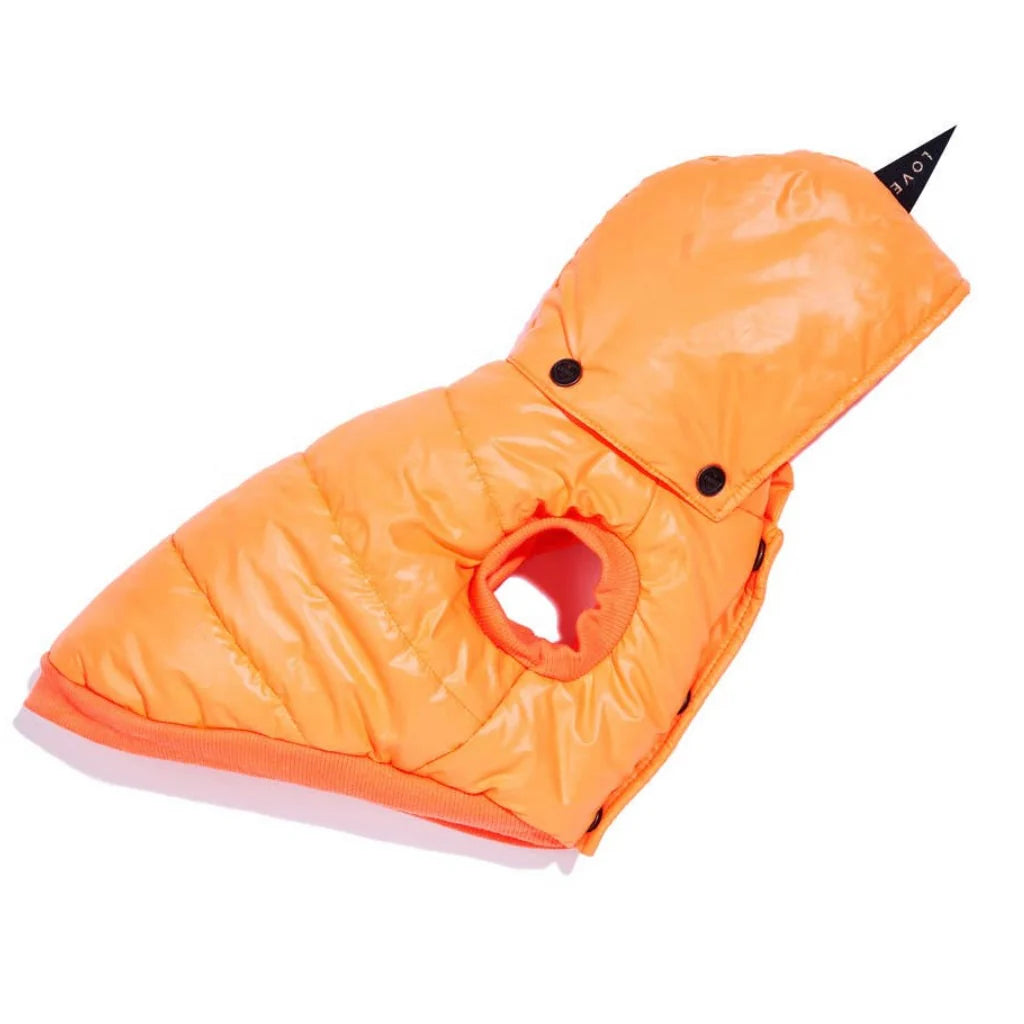 Found Puffer Coat with Removable Hood by Houndstooth