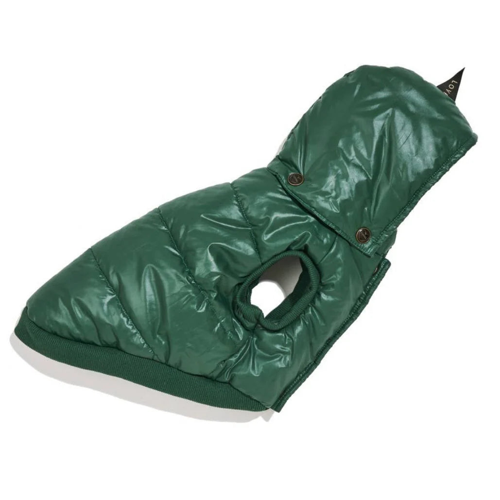 Found Puffer Coat with Removable Hood by Houndstooth