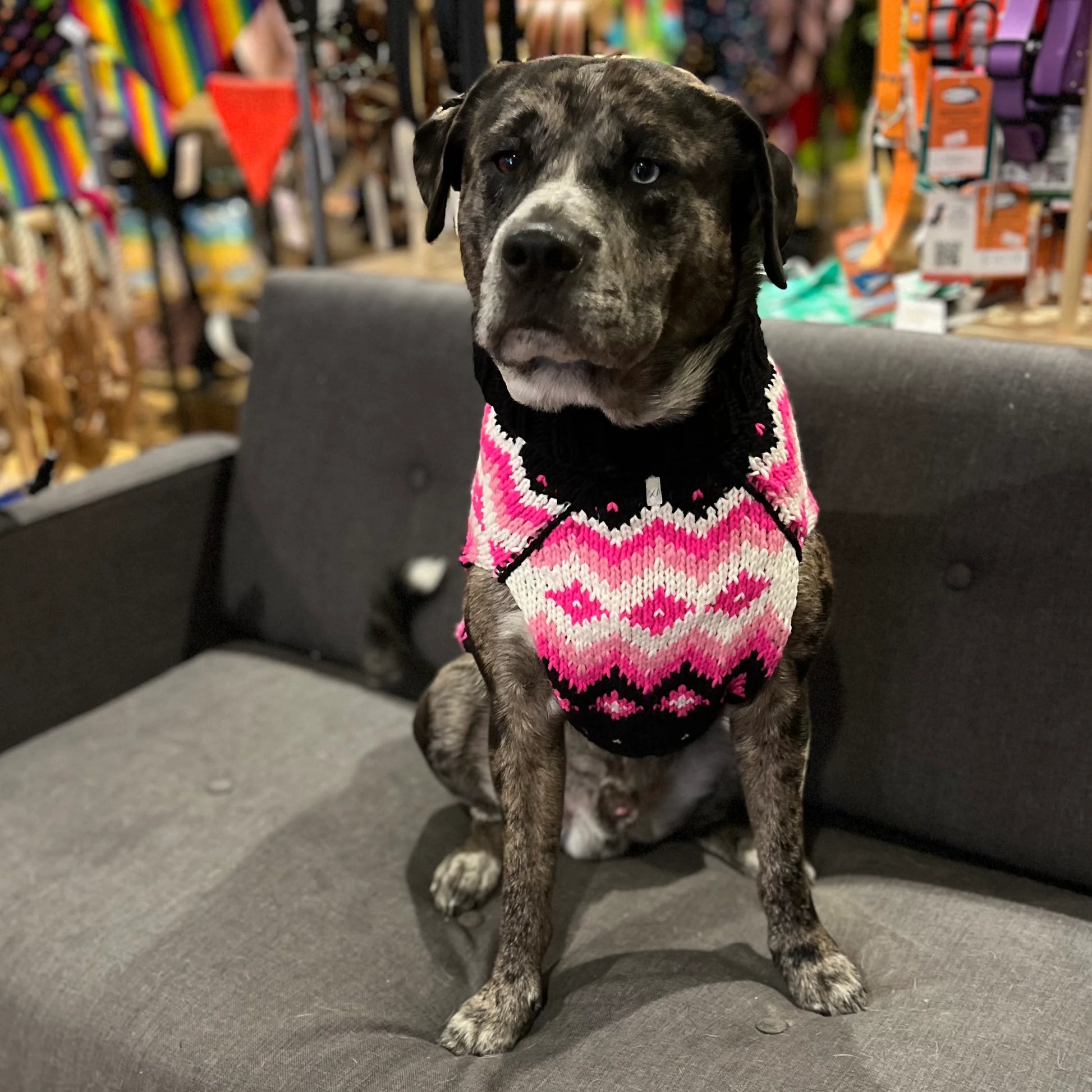 Chilly Dog Sweaters Arctic Pink Sweater by Houndstooth