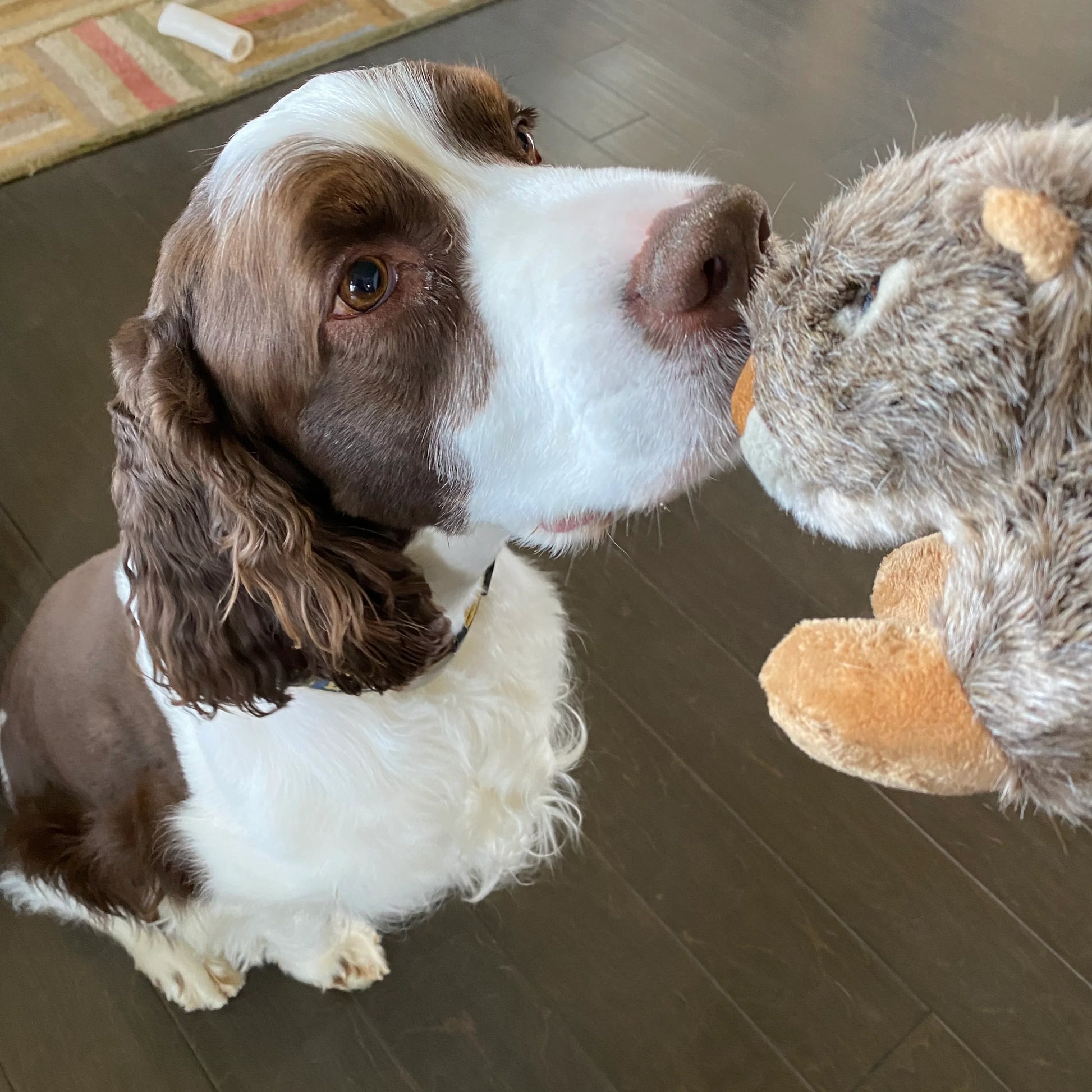 Fluff & Tuff Nuts the Squirrel by Houndstooth