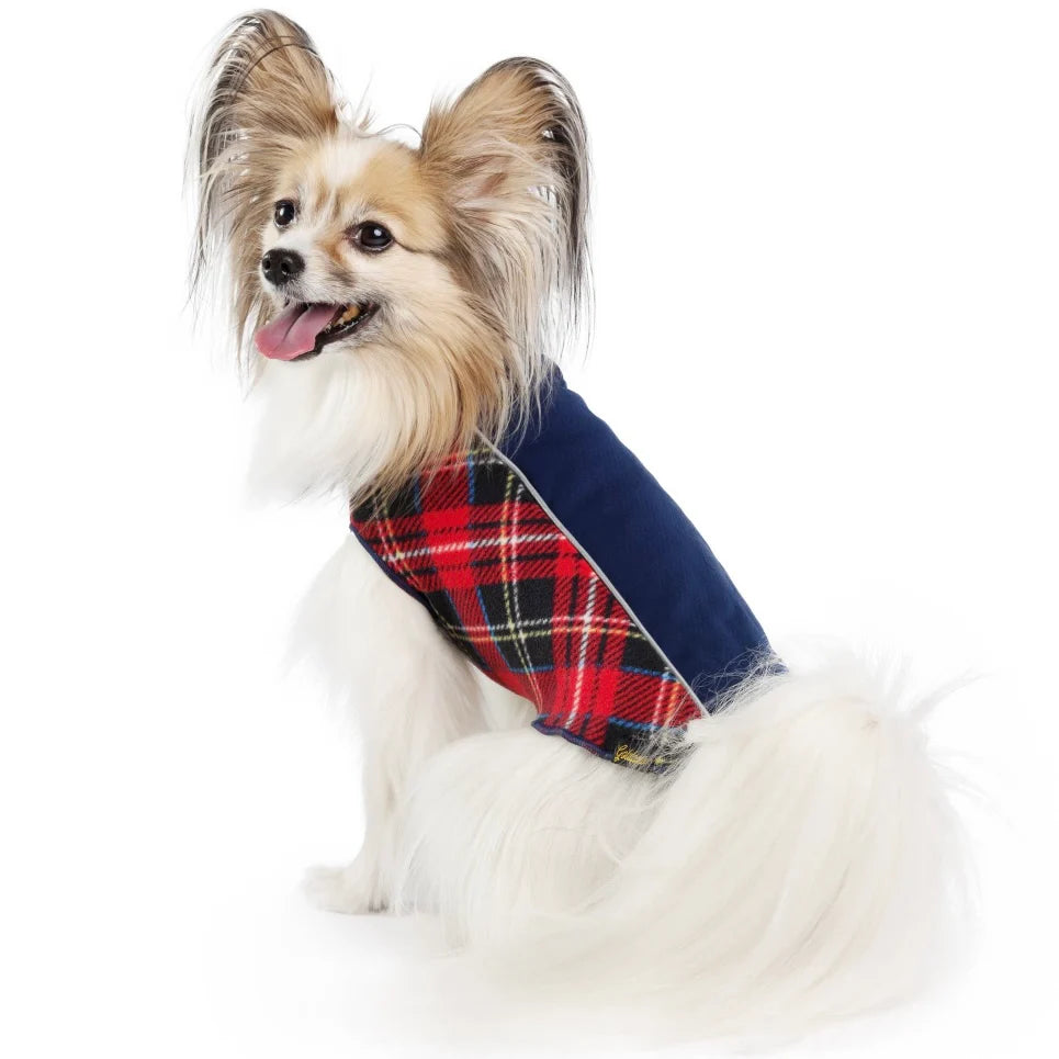 GoldPaw Portland Pullover by Houndstooth