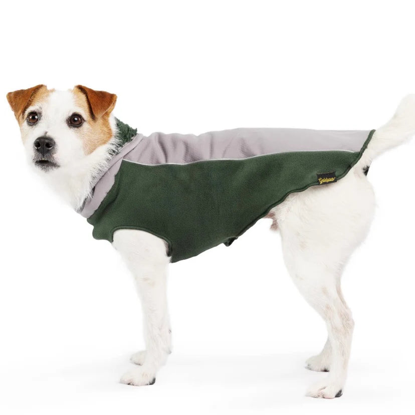 GoldPaw Portland Pullover by Houndstooth